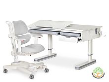 ErgoKids Комплект парта Mealux Montreal 2 Lite G (арт. BD-670-2 MC/WG Lite + Y-609 G) фото