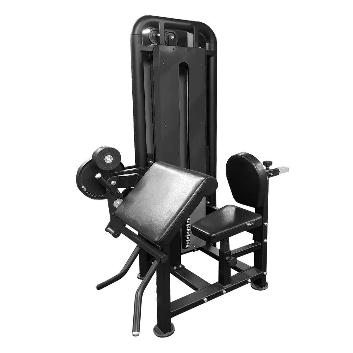 Бицепс-Трицепс сидя профессиональный BRONZE GYM PARTNER ML-709 фото