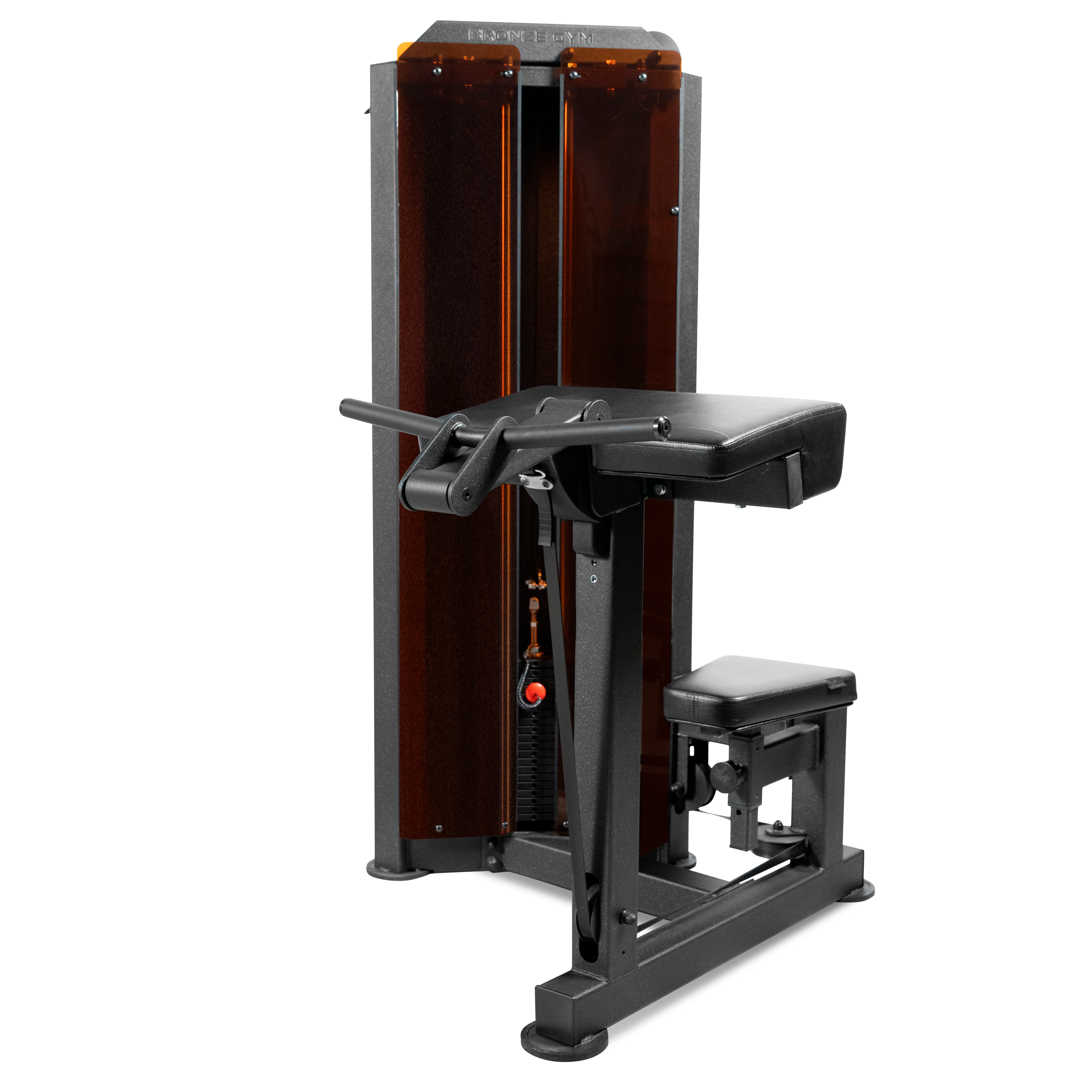 Бицепс машина профессиональный BRONZE GYM PARTNER ML-803 фото