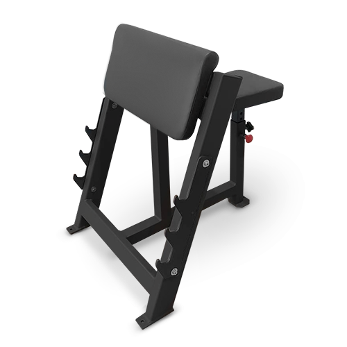 Скамья Скотта BRONZE GYM PARTNER AL-303 фото