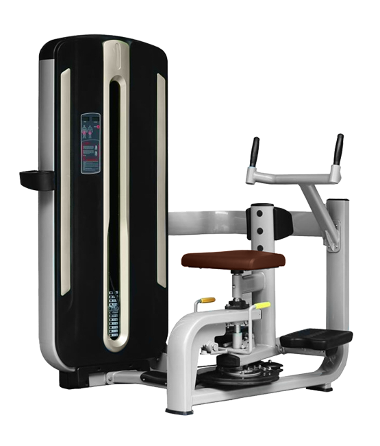 BRONZE GYM MNM-011 Торс-машина фото