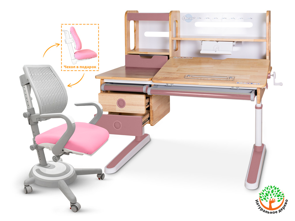 Mealux Комплект Mealux парта Oxford Wood Max PN + кресло Ergoback KP (арт.BD-920 Wood Max PN + Y-1020 KP) фото