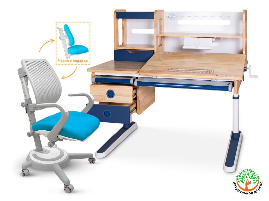 Mealux Комплект Mealux парта Oxford Wood Max BL + кресло Ergoback KBL (арт.BD-920 Wood Max BL + Y-1020 KBL) фото