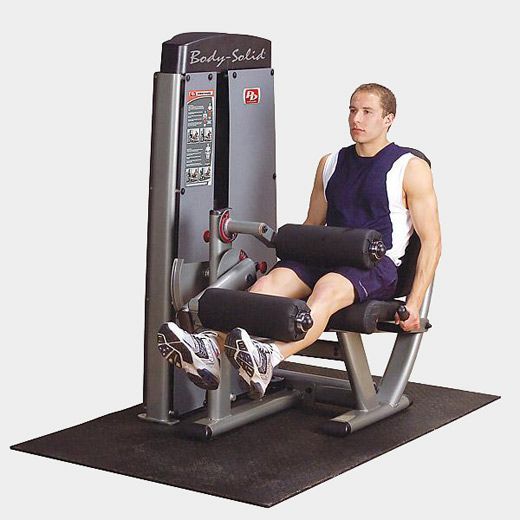 Сгибание-разгибание ног Body Solid ProDual DLEC-SF фото