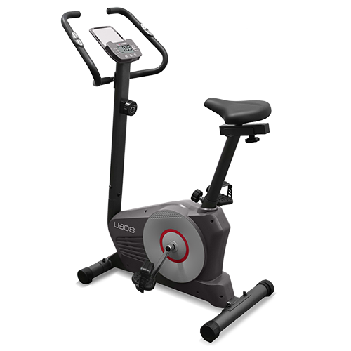 CARBON FITNESS U308 Велотренажер домашний фото