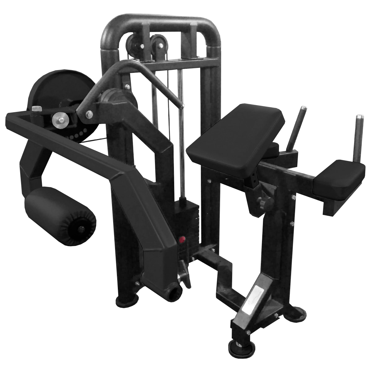 Глют машина профессиональный BRONZE GYM PARTNER ML-708 фото