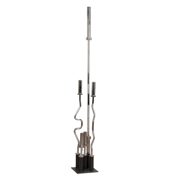 Подставка для олимпийских грифов профессиональная BODI SOLID GOBH-5 фото