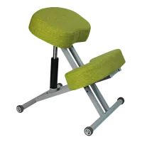 Ортопедический коленный стул TAKASIMA Олимп СК 1-2Г фото