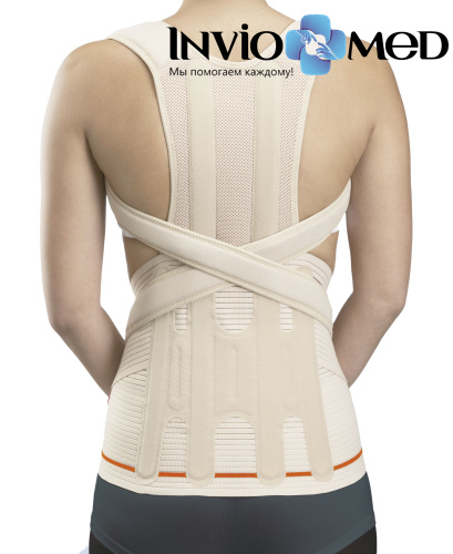 Модуль грудо-поясничный Orliman Dorso Evotec EV-203 / EV-303 фото 2