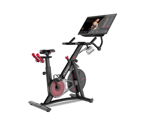 Велотренажер YESOUL Smart Spinning bike G1MAX черный фото