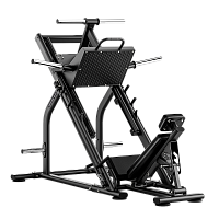 Жим ногами под углом 45 градусов BRONZE GYM RAVE RV25 фото