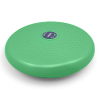 Диск балансировочный массажный PRCTZ AIR PAD BALANCE DISC, 33см. фото