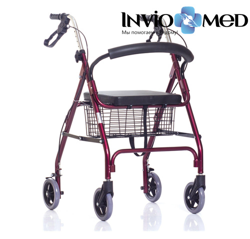 Ходунки-роляторы Ortonica XR 102 фото