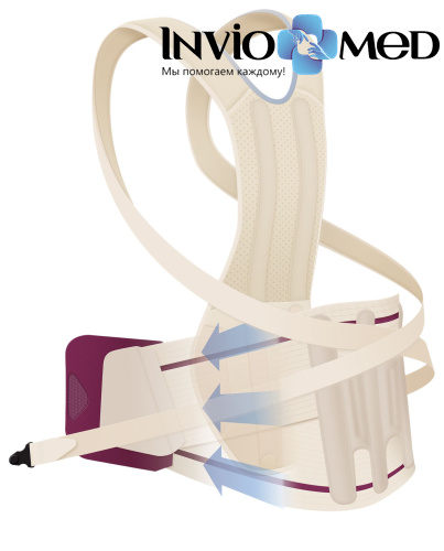 Модуль грудо-поясничный Orliman Dorso Evotec EV-203 / EV-303 фото 4